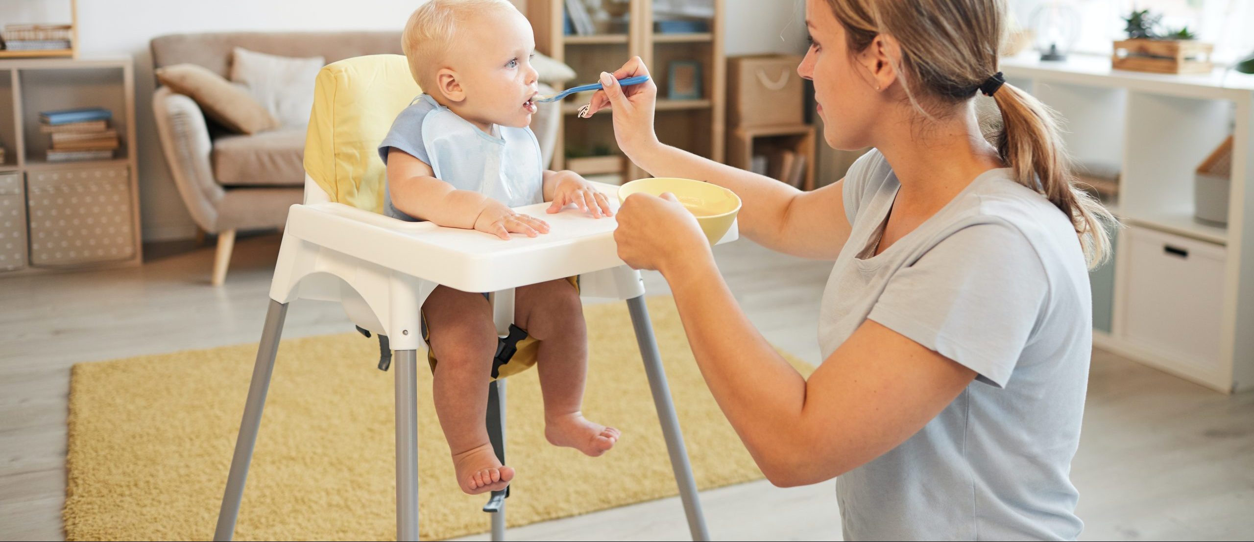 Lalo high chair review