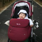 best stroller for tall parents