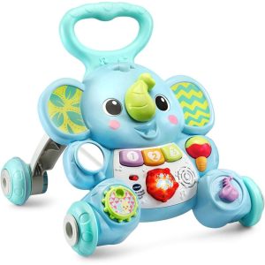 VTech Stroll and Discover Activity Push Toy