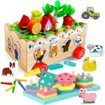 Expanding Horizons: Monti Kids Subscription