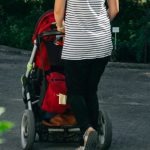Uppababy Cruz vs Vista