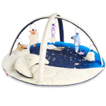 Skip Hop Baby Play Gym